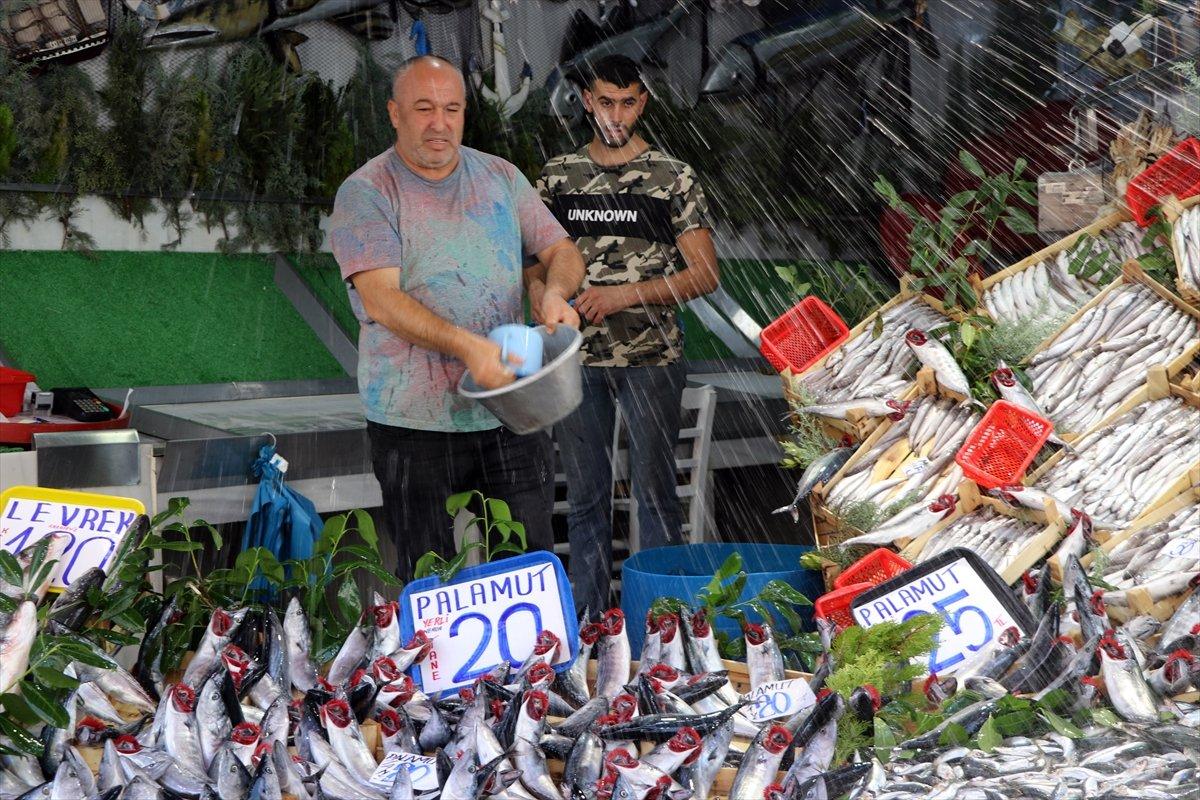 Hamsinin fiyatı 20 liraya indi