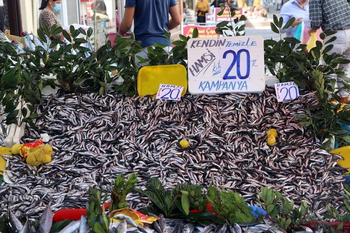 Hamsinin fiyatı 20 liraya indi