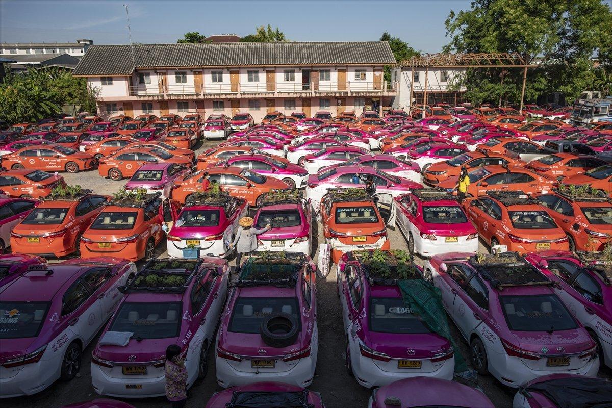 Tayland’da taksiler sebze bahçesine dönüştürüldü