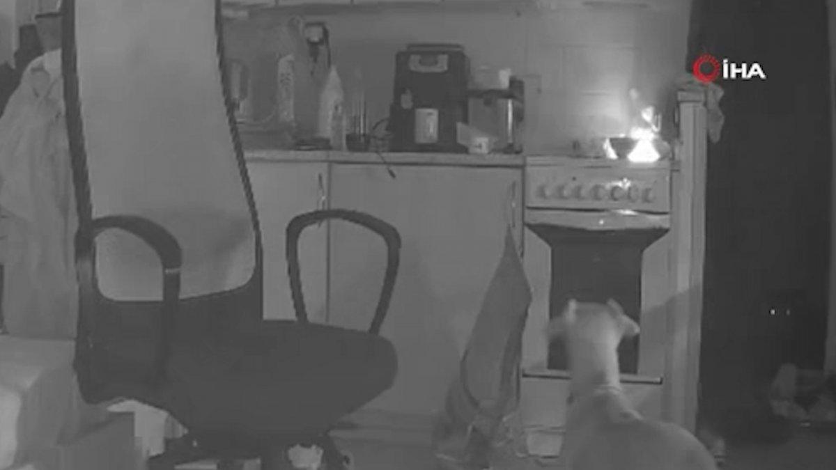 Çekya’da yemek arayan köpek, mutfakta yangın çıkardı