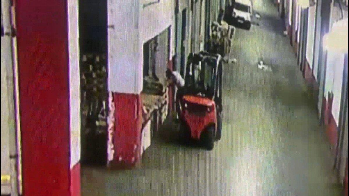 İstanbul'da yavru kediyi tekmeleyerek öldüren cani kamerada