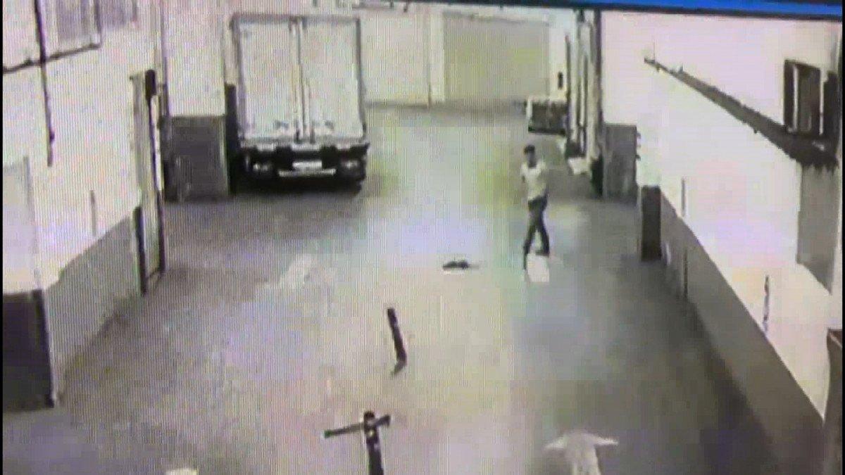 İstanbul'da yavru kediyi tekmeleyerek öldüren cani kamerada