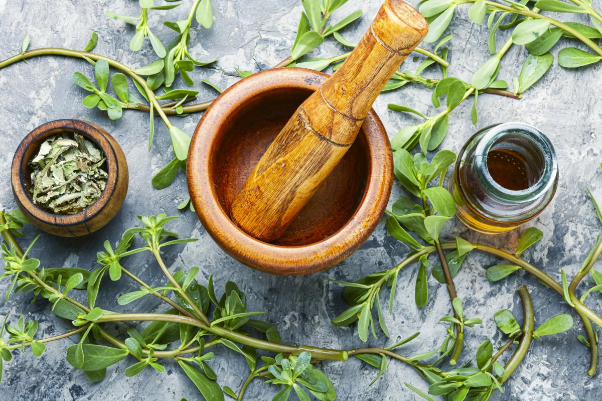 Yaşlanma karşıtı mucizevi doğal formül: Semizotu özü