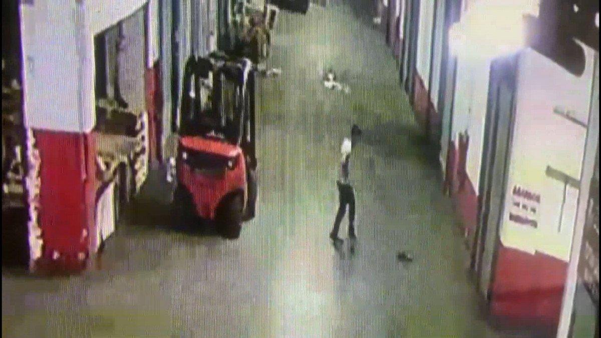 İstanbul'da yavru kediyi tekmeleyerek öldüren cani kamerada