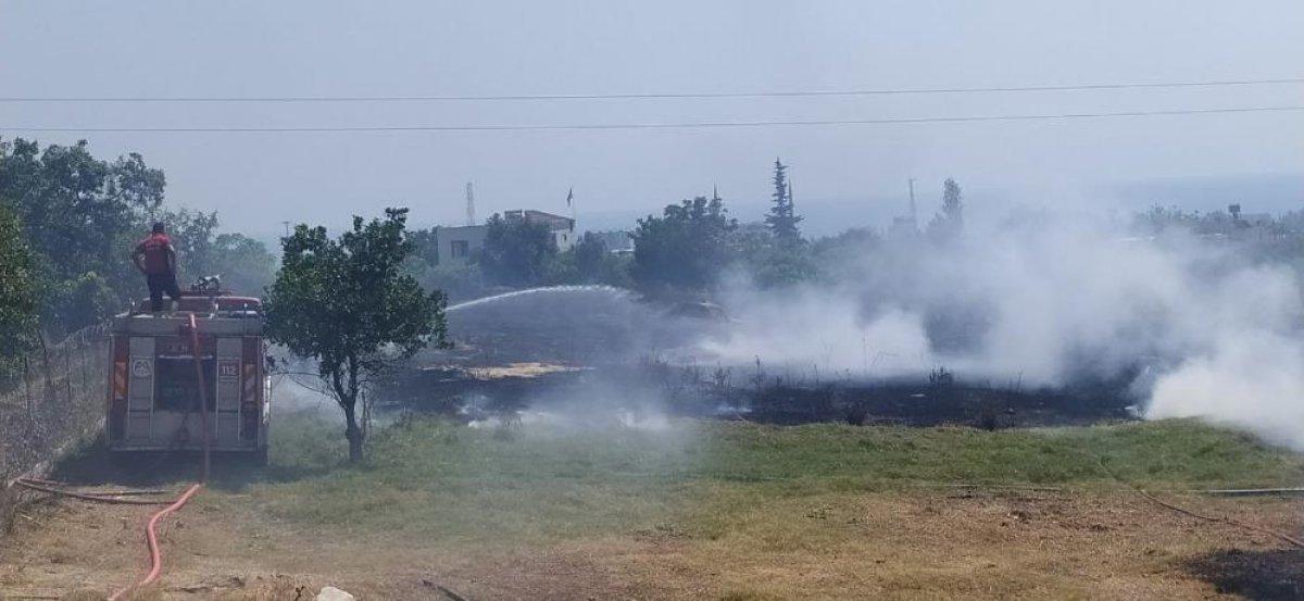 Mersin'de çıkan yangın evlere ulaşmadan kontrol altına alındı