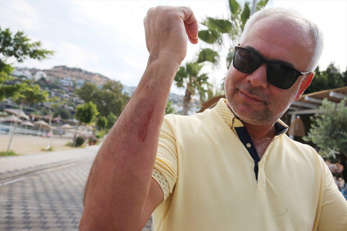 Muğla’da görülen camgöz köpek balığı, güvenli alana bırakıldı