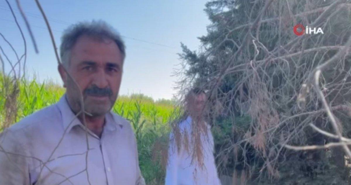 Şanlıurfa'da vatandaşlar tarafından fark edilen hırsız jandarmaya sığındı