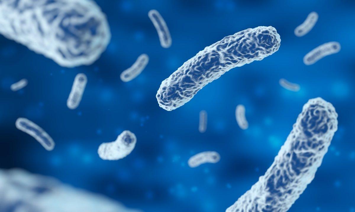 Probiyotiklerin sağlığa 5 inanılamaz faydası