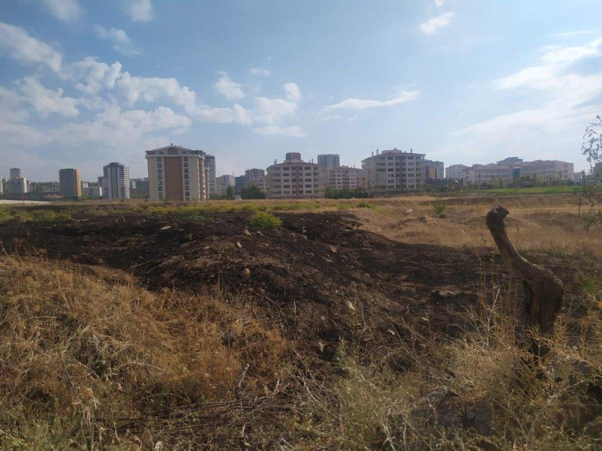 Ankara'da yıldırım düşen boş arazide yangın çıktı