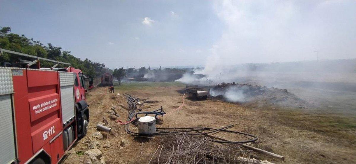 Mersin'de çıkan yangın evlere ulaşmadan kontrol altına alındı