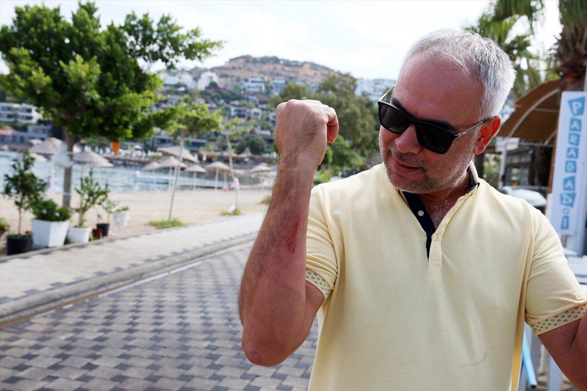 Muğla’da görülen camgöz köpek balığı, güvenli alana bırakıldı