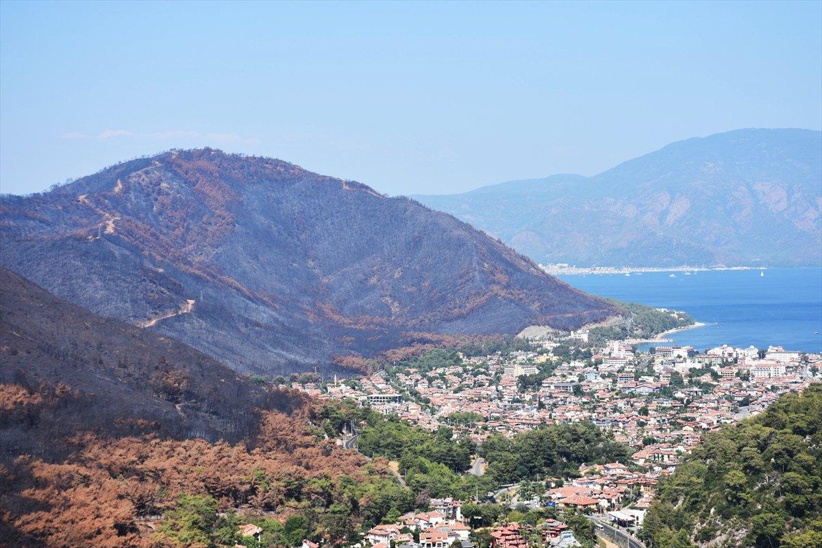 Devlet Denetleme Kurulu'nun kapsamlı THK raporu