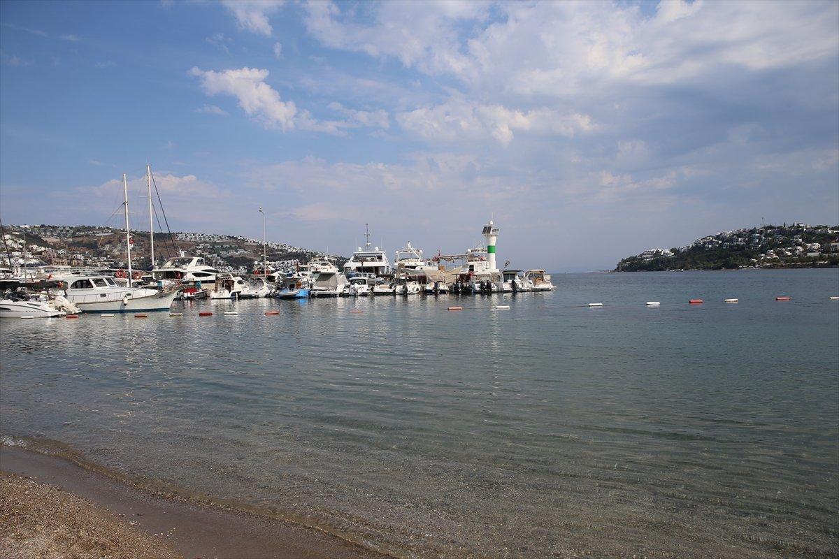 Muğla’da görülen camgöz köpek balığı, güvenli alana bırakıldı