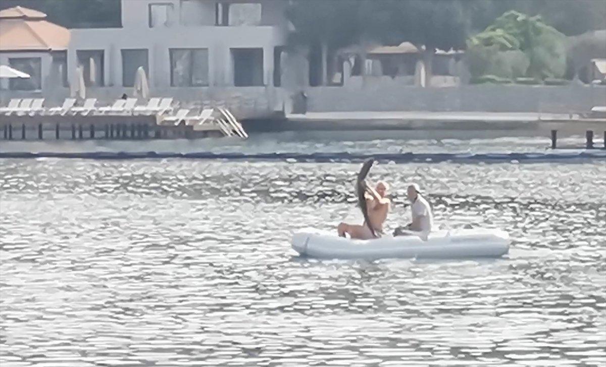 Muğla’da görülen camgöz köpek balığı, güvenli alana bırakıldı