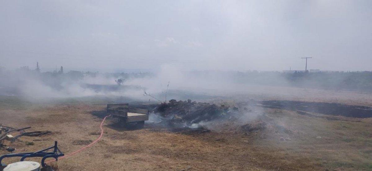 Mersin'de çıkan yangın evlere ulaşmadan kontrol altına alındı