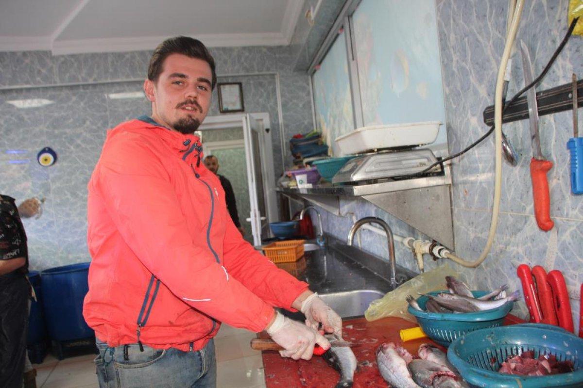 Bilecik'te halk balık tezgahlarına koştu: Palamut yok denecek kadar az