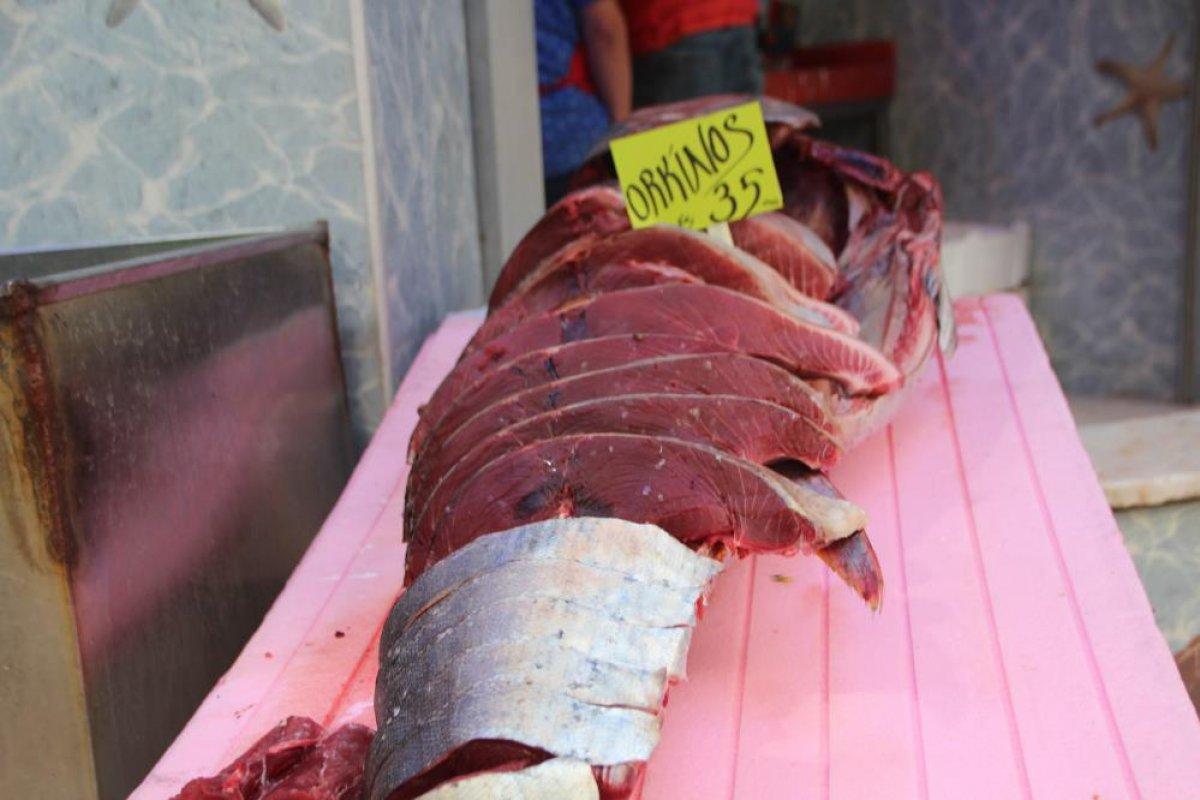 Bilecik'te halk balık tezgahlarına koştu: Palamut yok denecek kadar az