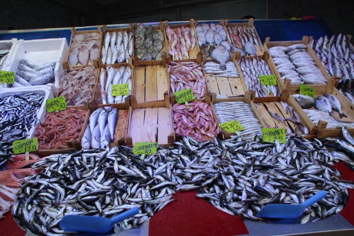 Bilecik'te halk balık tezgahlarına koştu: Palamut yok denecek kadar az