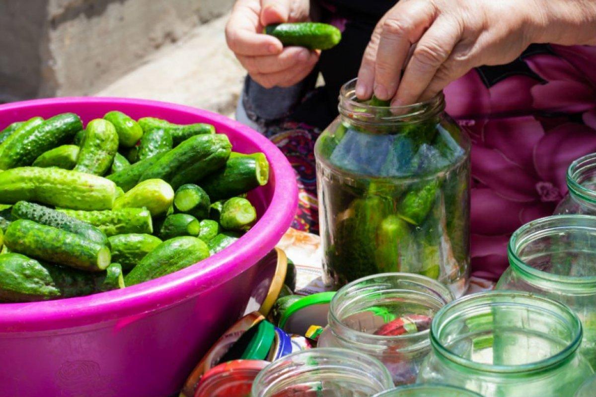 Tam mevsimi: Püf noktalarıyla salatalık turşusu tarifi