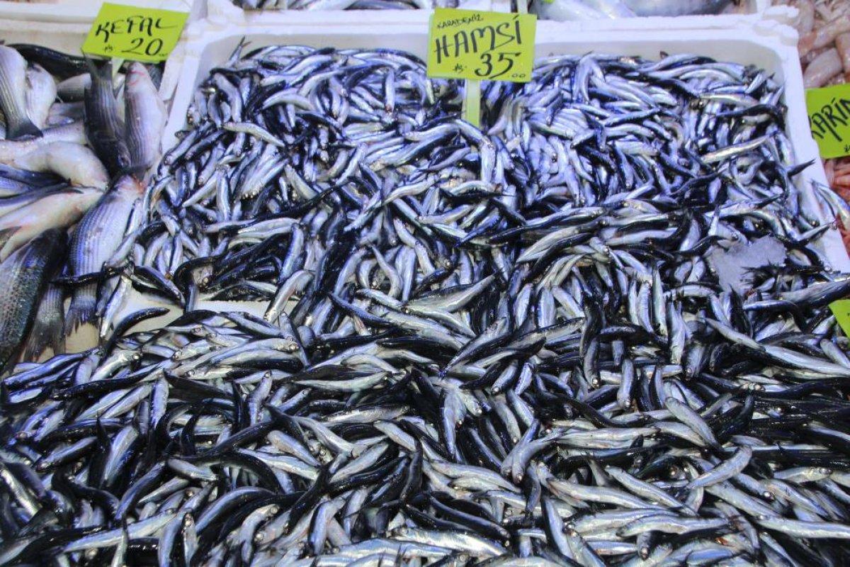 Bilecik'te halk balık tezgahlarına koştu: Palamut yok denecek kadar az