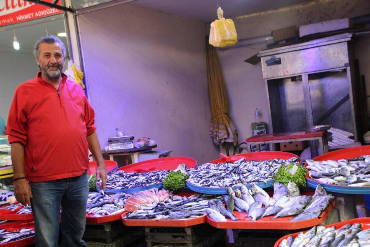 Bilecik'te halk balık tezgahlarına koştu: Palamut yok denecek kadar az