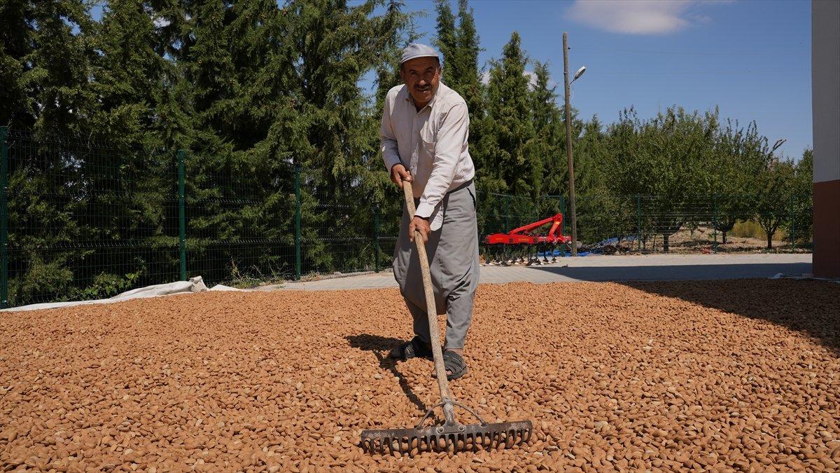 Adıyaman bademi global bir markaya dönüşecek