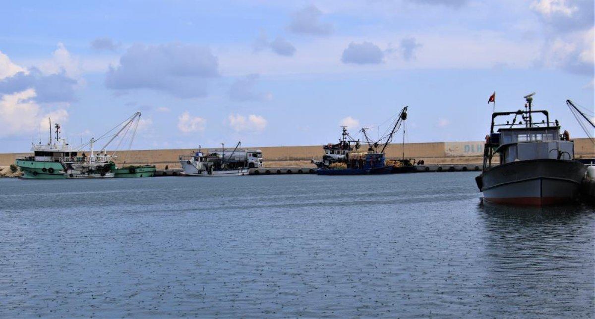 Mersin'de av yasağı kalktı, balıkçılar ağlarını denize attı