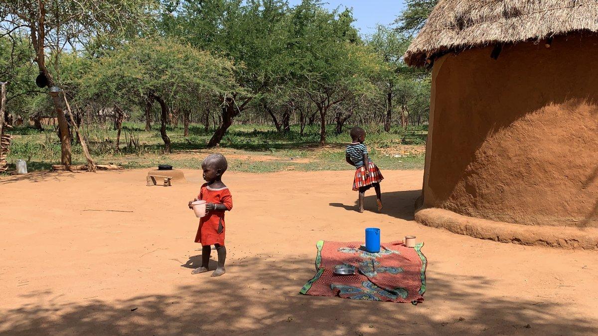 Kenya, kuraklıktan olumsuz etkilendi