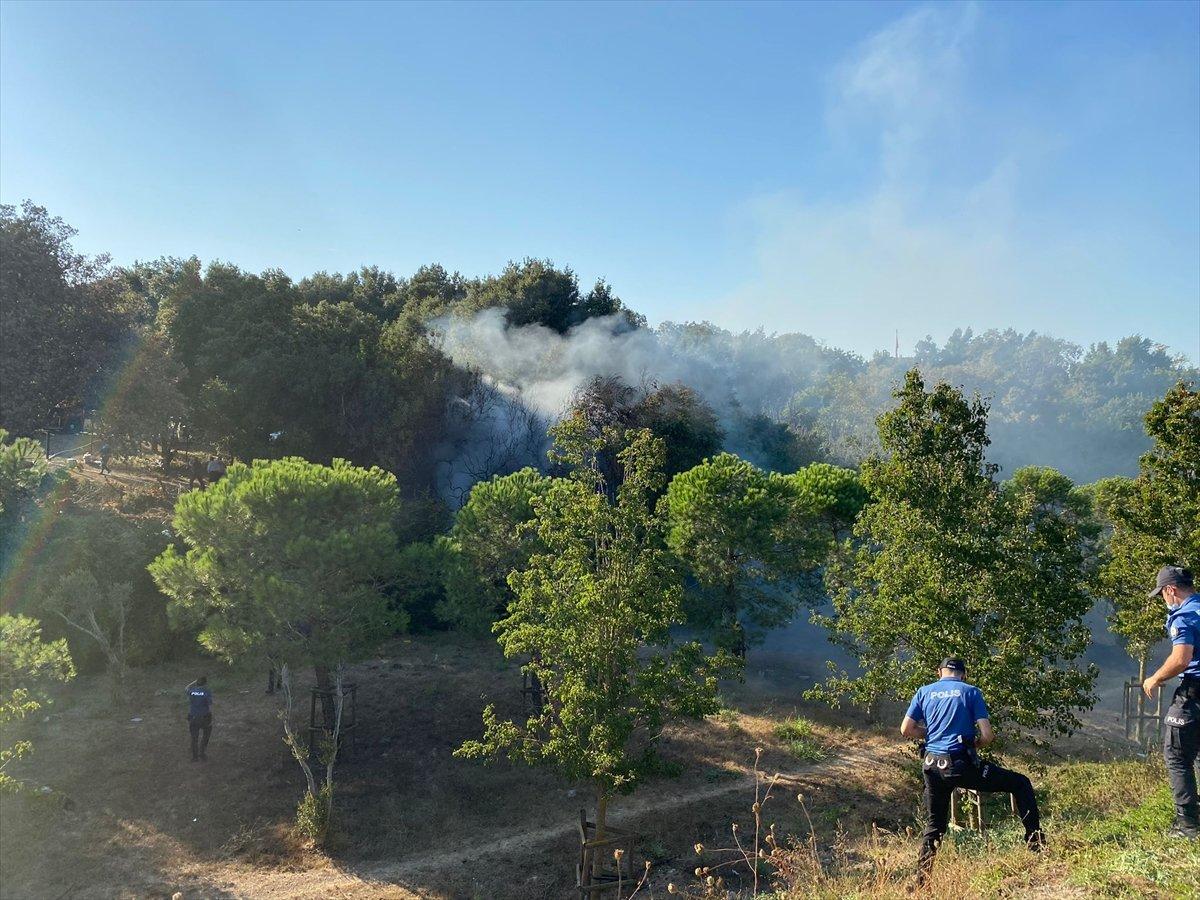 Altunizade’de ağaçlık alanda çıkan yangın söndürüldü