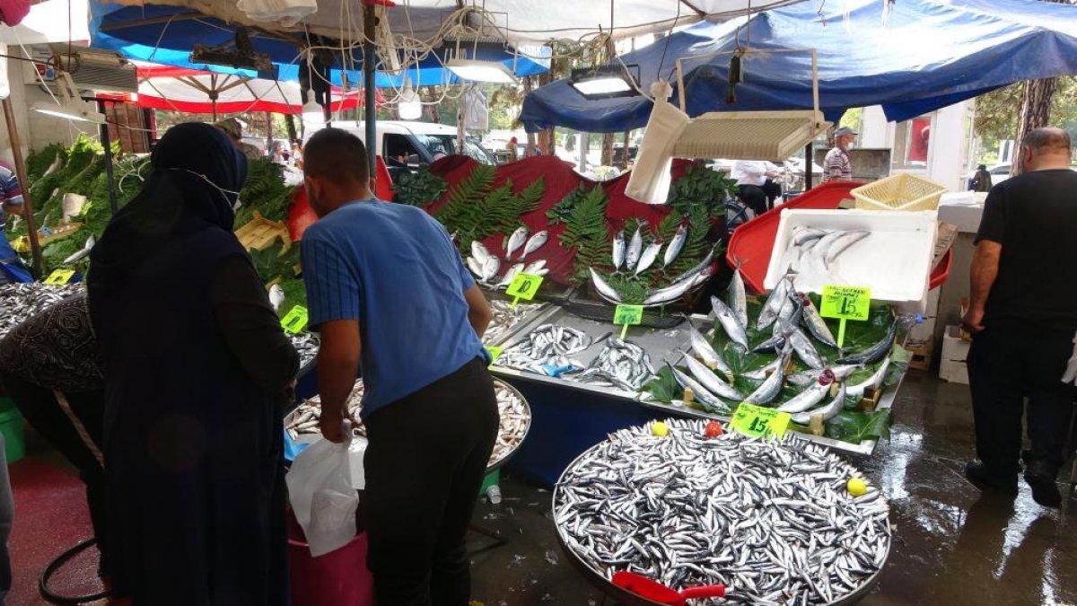 Kocaeli'de hamsinin fiyatı düştü, yeşillik uçtu
