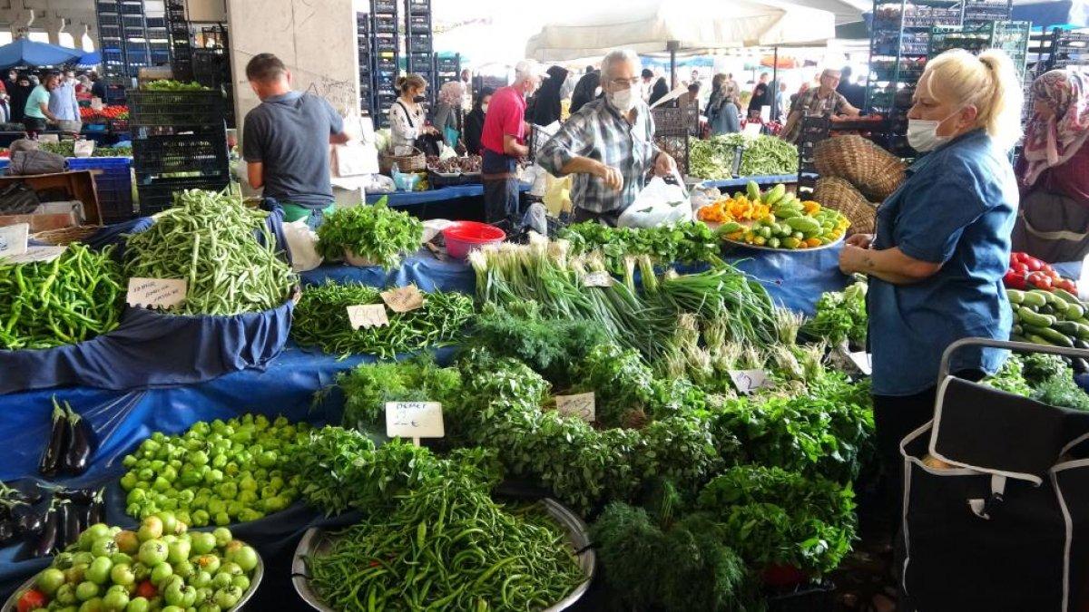 Kocaeli'de hamsinin fiyatı düştü, yeşillik uçtu