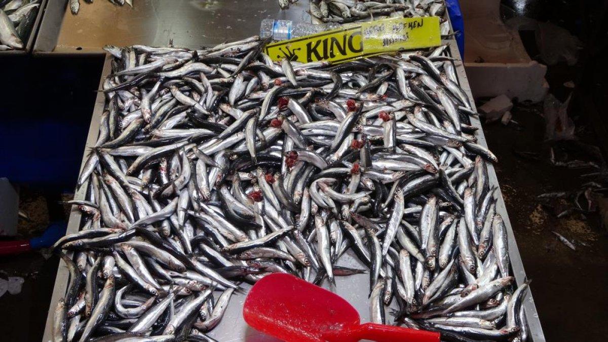 Kocaeli'de hamsinin fiyatı düştü, yeşillik uçtu