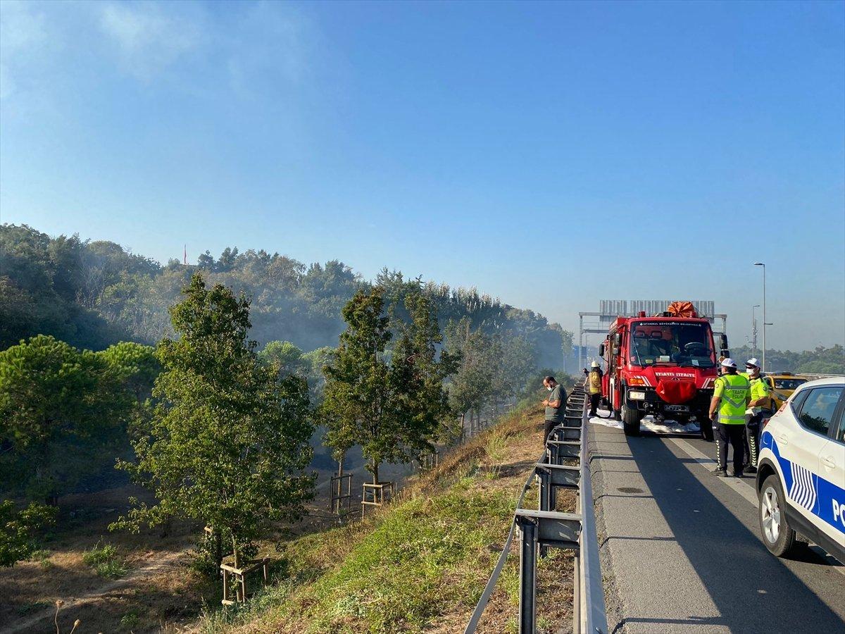 Altunizade’de ağaçlık alanda çıkan yangın söndürüldü