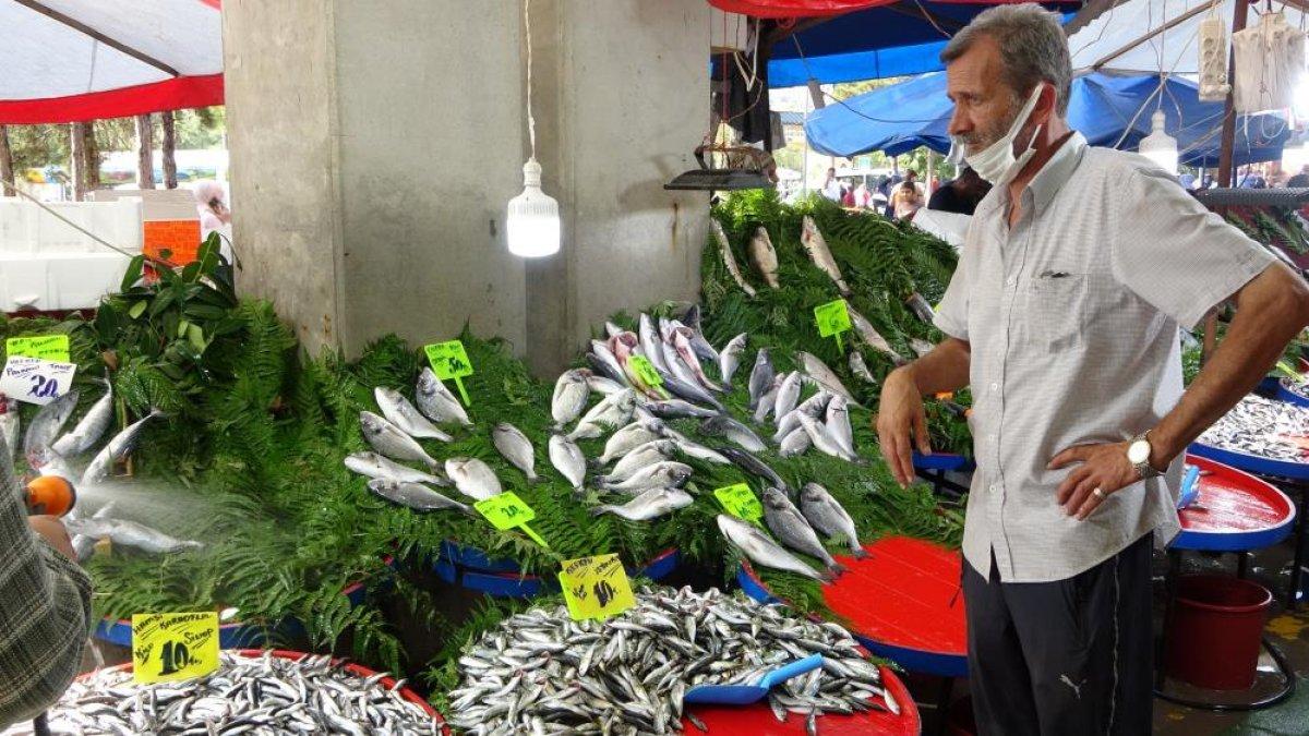 Kocaeli'de hamsinin fiyatı düştü, yeşillik uçtu
