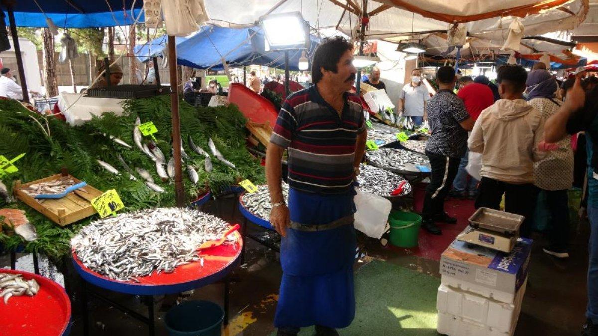 Kocaeli'de hamsinin fiyatı düştü, yeşillik uçtu