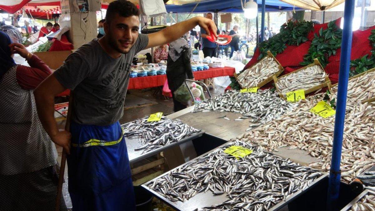 Kocaeli'de hamsinin fiyatı düştü, yeşillik uçtu