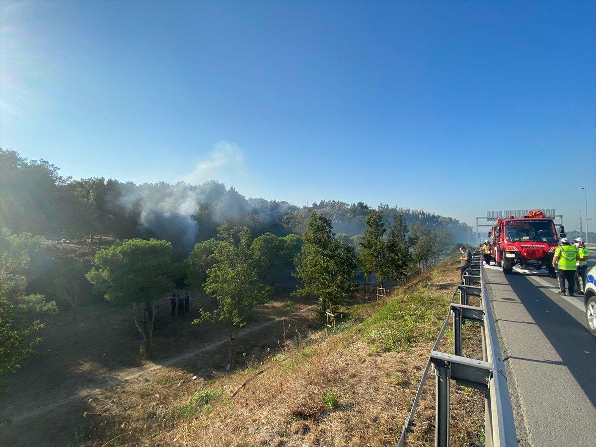 Altunizade’de ağaçlık alanda çıkan yangın söndürüldü