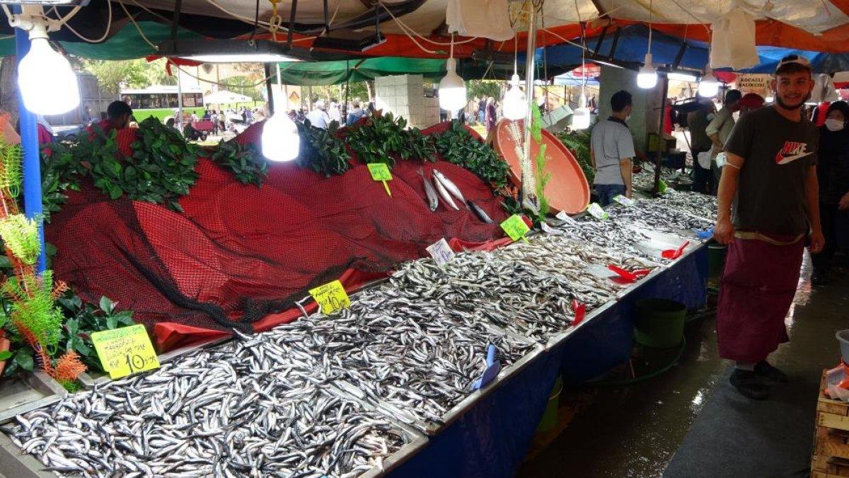 Kocaeli'de hamsinin fiyatı düştü, yeşillik uçtu