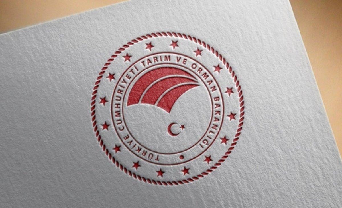 KPSS şartsız! Tarım ve Orman Bakanlığı 118 işçi alımı: Başvuru tarihi ve ekranı...