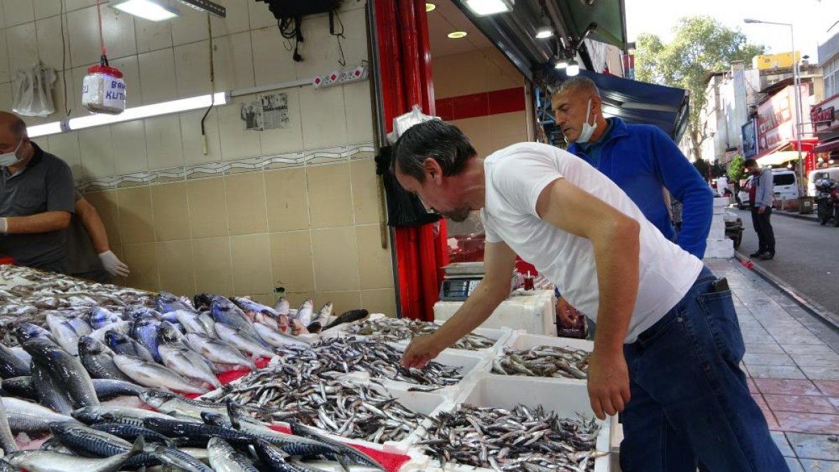 Samsun'da son zamanların en bereketli balık sezonu yaşanıyor