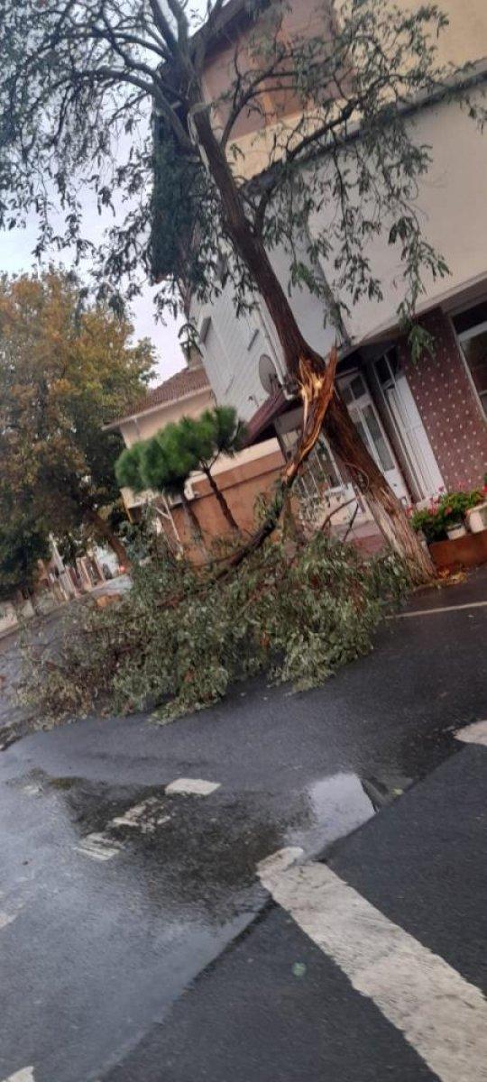 İstanbul'da beklenen yağış başladı