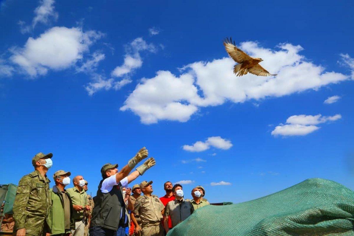Terörden kurtarılan Cudi Dağı milli park olacak