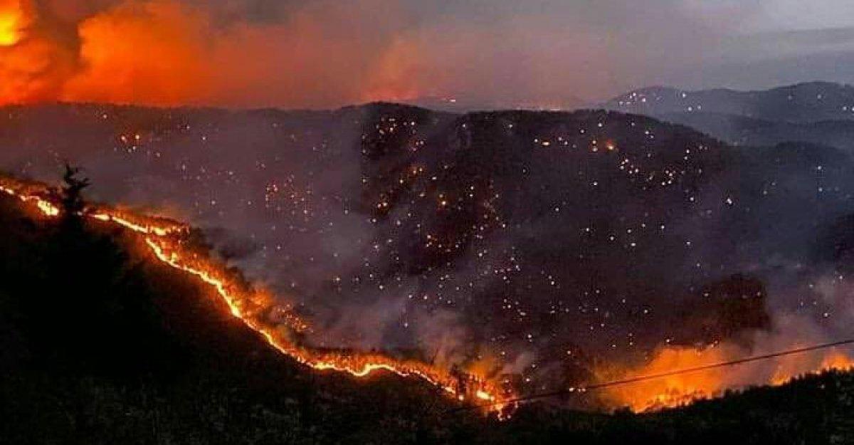 Antalya ve Muğla'da yangından zarar gören 1100 bina yıkıldı