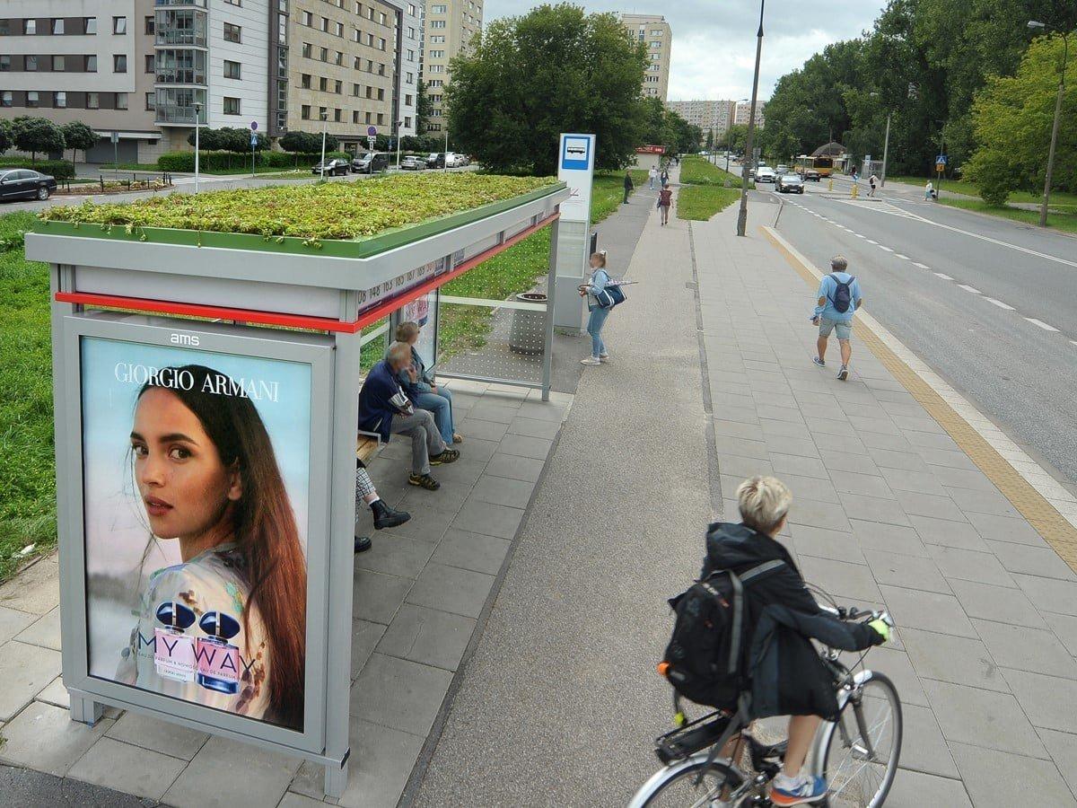 Polonya'da otobüs duraklarının çatıları yeşillendi