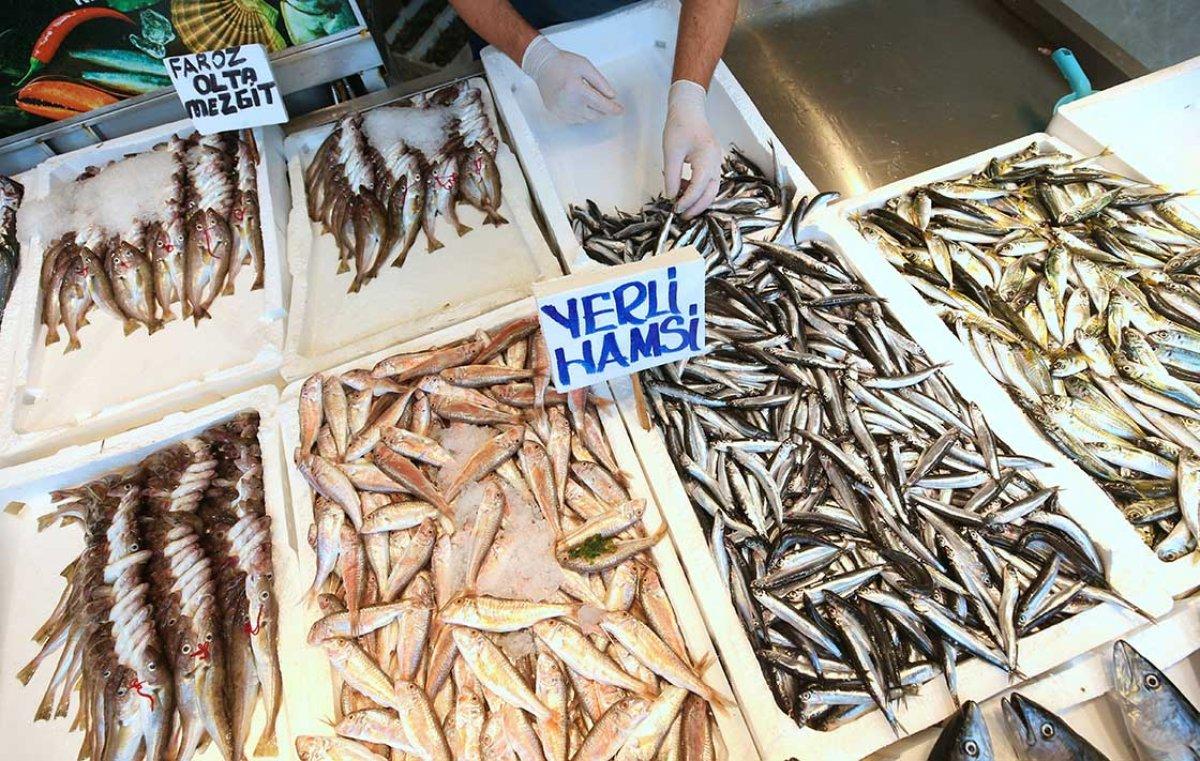 Karadeniz'li balıkçılar havaların soğumasını bekliyor