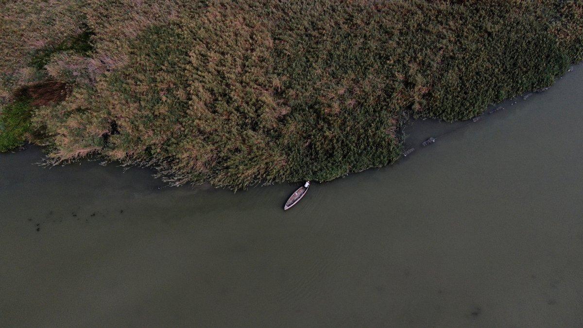 Uluabat Gölü'nde canlıların yaşam alanı küçülüyor