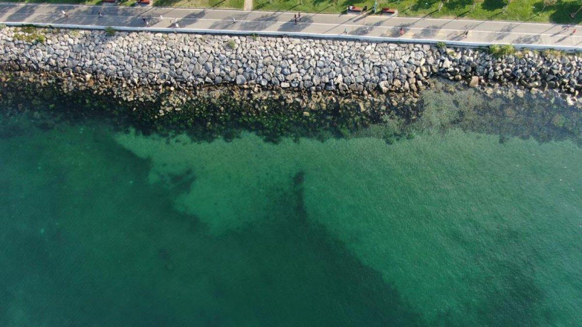 İstanbul sahillerinin müsilajdan arındığı gözlemlendi