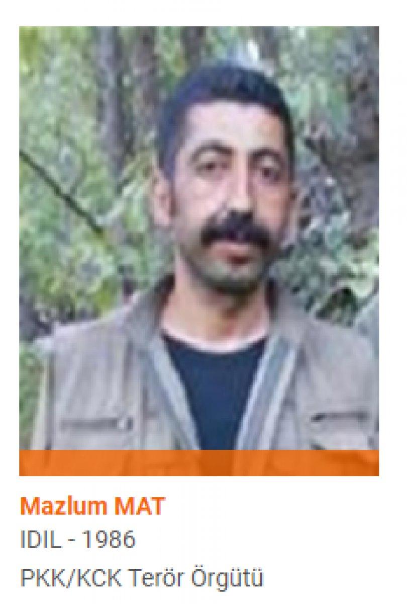 Turuncu ve gri kategorideki teröristler etkisiz hale getirildi