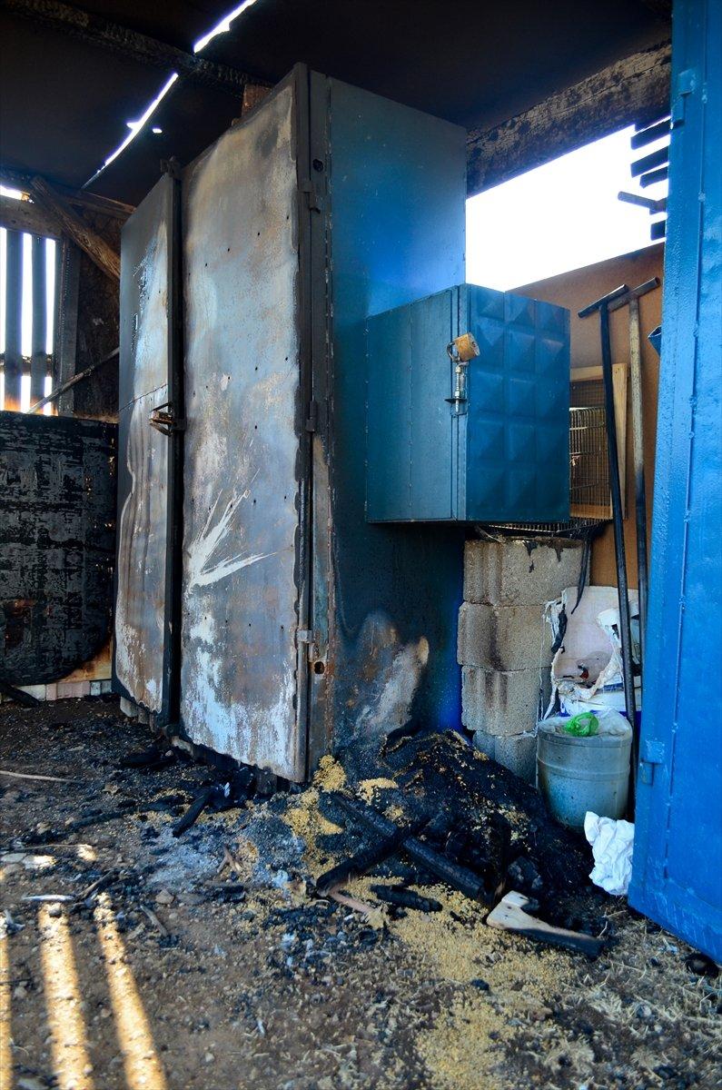 Mersin'de 39 güvercin telef oldu