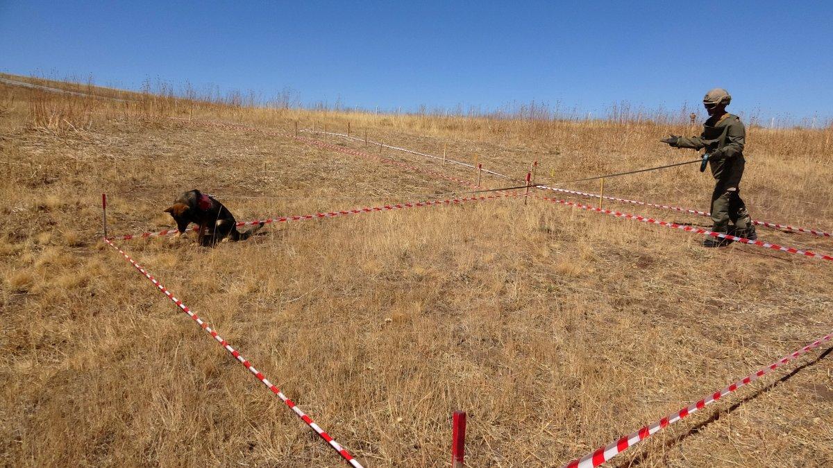 Van’da, İran sınırında zorlu mayın temizleme görevi